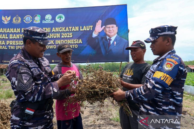 TNI AL klaim bisa panen dua sampai empat ton kedelai di setiap wilayah