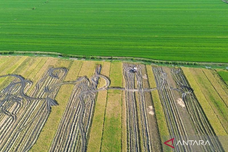 kementerian-atr-pastikan-perubahan-penggunaan-lahan-sesuai-tata-ruang