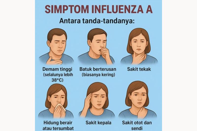 apa-itu-influenza-a