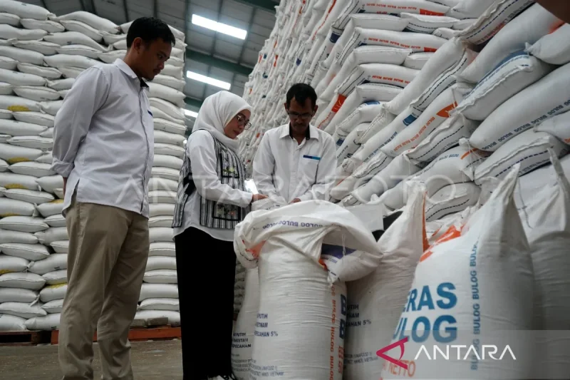 kemarin-kualitas-beras-terjamin-hingga-sertifikasi-ekspor-udang