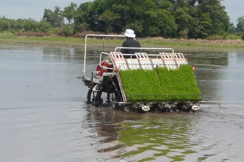 realisasi-konstruksi-cetak-sawah-di-kalsel-capai-6000-hektare