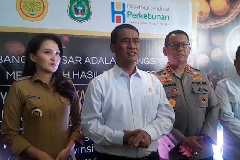 kelapa-dan-pala-asal-maluku-utara-diproyeksikan-jadi-komoditas-global