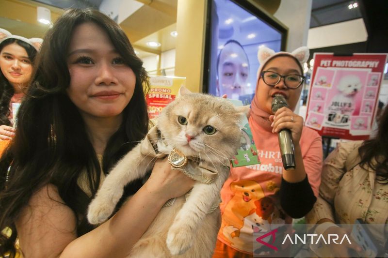 hrta-menghadirkan-perhiasan-unik-bertema-hewan-peliharaan