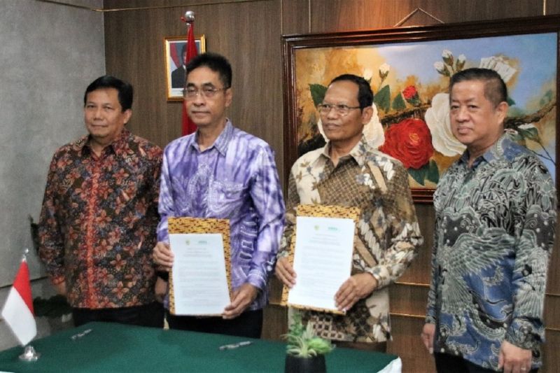 aphi-dan-itpc-memperkuat-pengelolaan-berkelanjutan-lahan-gambut-tropis