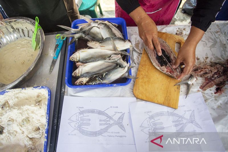 kkp-latih-pengelola-sppg-teknik-olah-ikan-aman-dan-bergizi