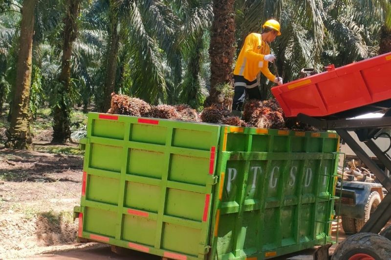 astra-agro-komitmen-jaga-ketertelusuran-rantai-pasok-sawit