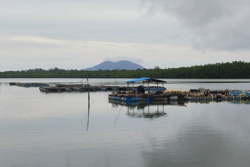 pemprov-kepri-terus-berupaya-gaet-investor-tiongkok