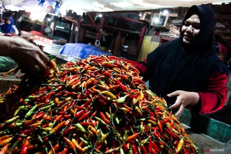 pihps-harga-cabai-rawit-rp39300kg-telur-ayam-rp31050kg