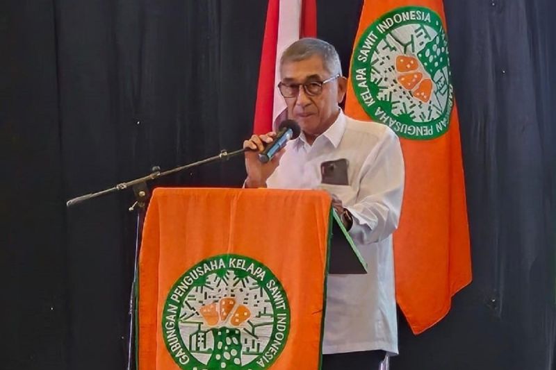 bpdp-siapkan-lima-pendekatan-percepat-program-psr