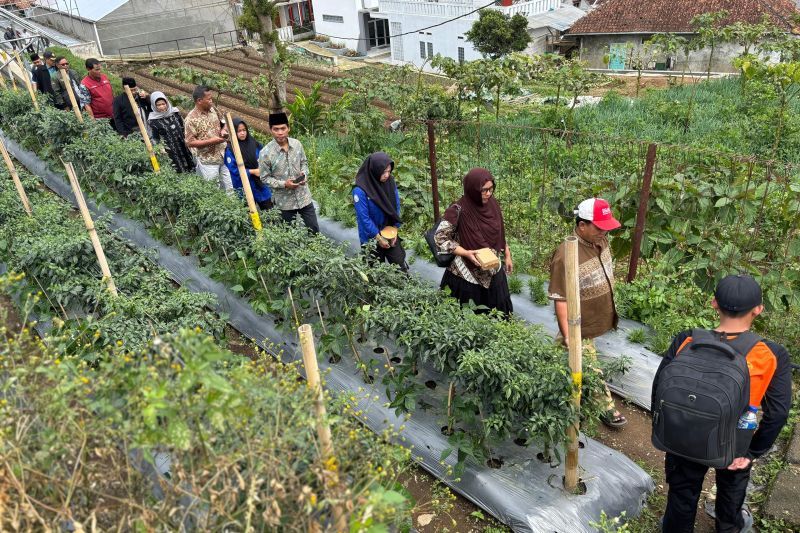 kemenko-pm-dorong-petani-koperasi-go-digital-lewat-pelatihan-strategis