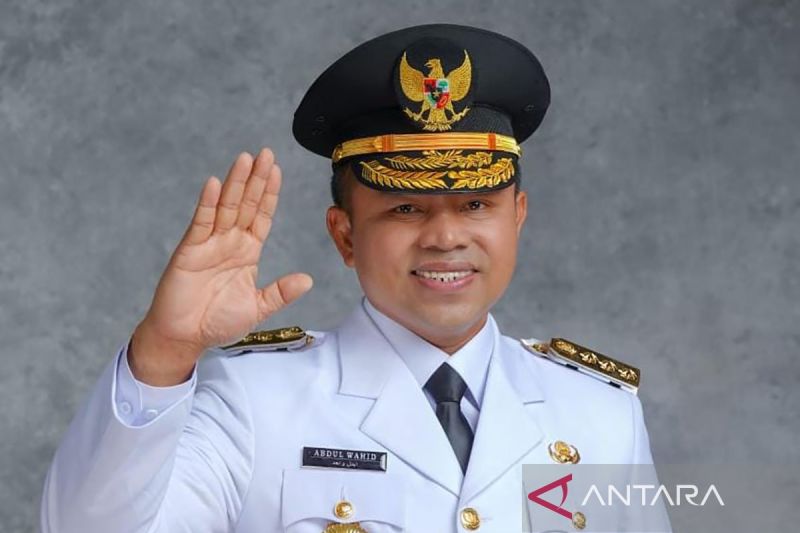 profil-abdul-wahid-gubernur-riau-yang-terjerat-ott-kpk