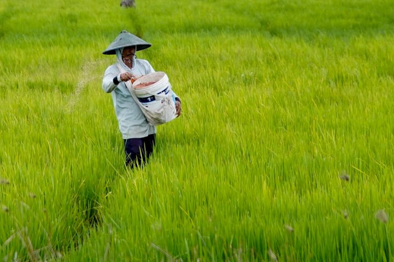mentan-tegaskan-cabut-izin-dan-tidak-toleransi-kios-pupuk-melanggar