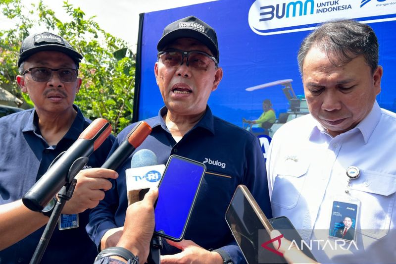 bulog-pastikan-stok-beras-38-juta-ton-aman-hingga-natal-tahun-baru