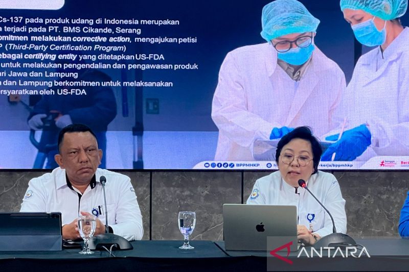 kkp-perkuat-budidaya-berkelanjutan-dukung-kualitas-ekspor-udang-ri