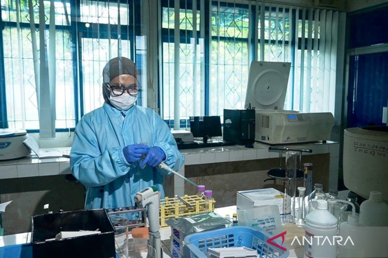 kalsel-gaet-ipb-uji-albumin-ikan-haruan-agar-segera-didistribusikan