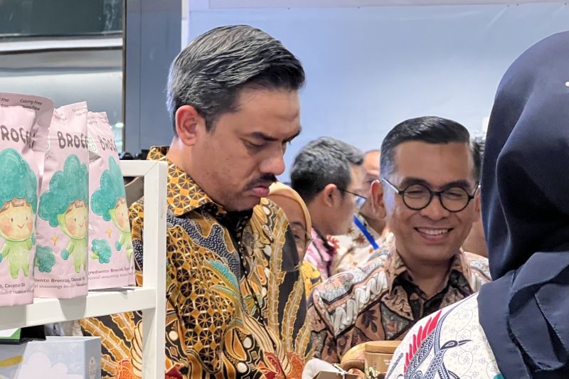 menteri-umkm-tutup-pedagangtoko-thrifting-di-e-commerce