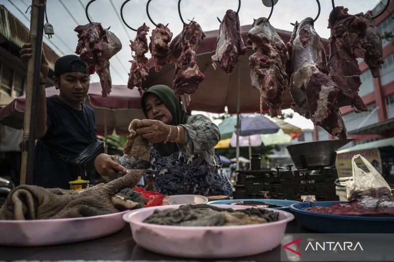 uji-tangguh-ekonomi-indonesia-dengan-pertumbuhan-504-persen