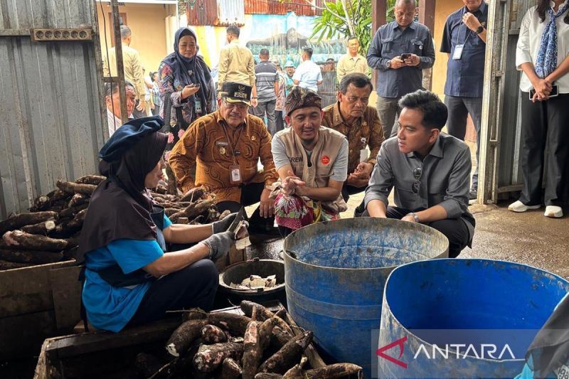 dukung-umkm-di-salatiga-gibran-bantu-olahan-singkong-masuk-menu-mbg