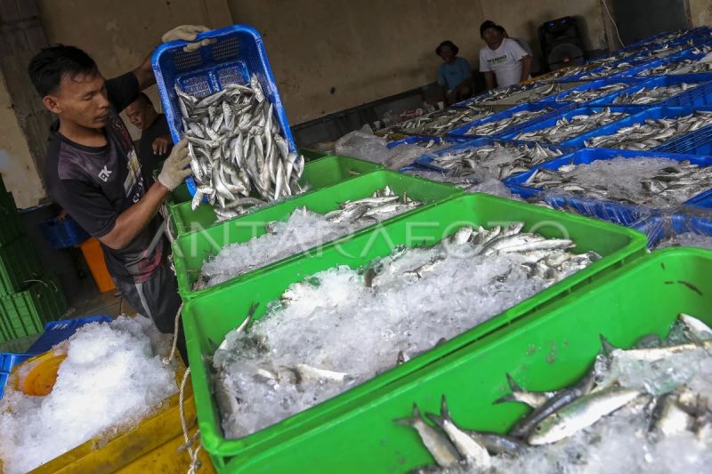 menteri-kkp-pangan-biru-ri-berpotensi-dukung-ketahanan-pangan-dunia