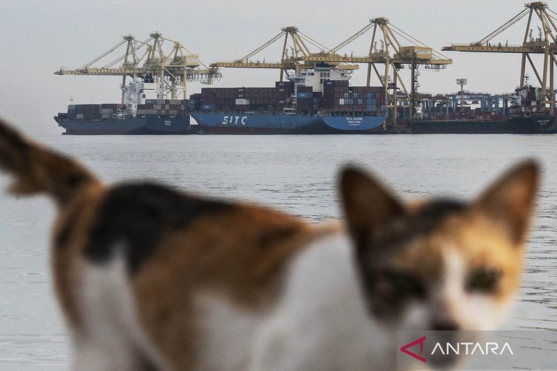 pemerintah-dorong-efisiensi-pelabuhan-untuk-tingkatkan-pdb-maritim-nasional