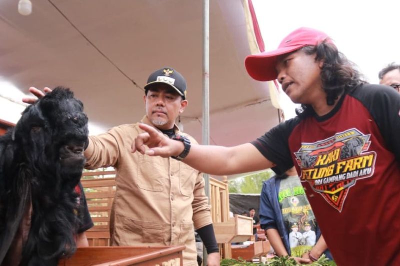bupati-haris-dorong-probolinggo-jadi-sentra-ternak-kambing-domba