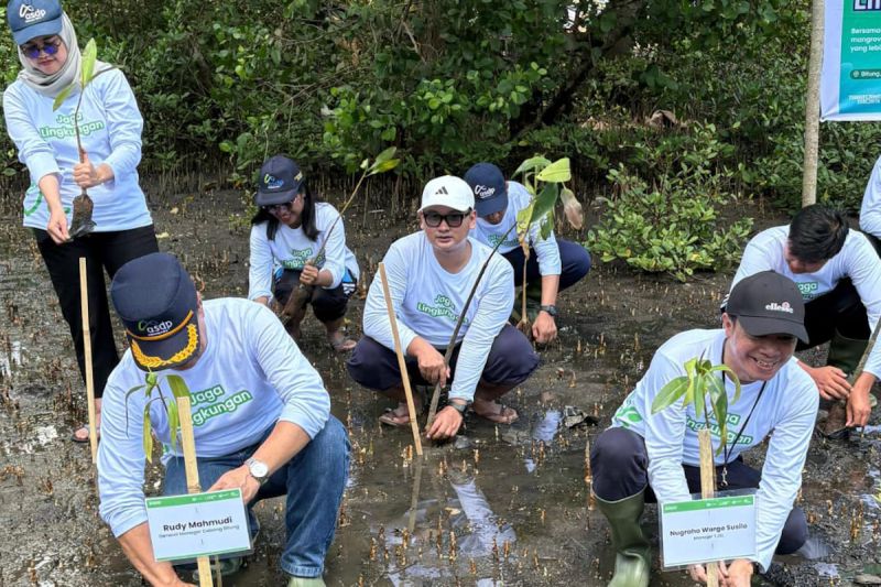 asdp-tanam-3000-bibit-mangrove-jaga-ekosistem-pesisir-mawali