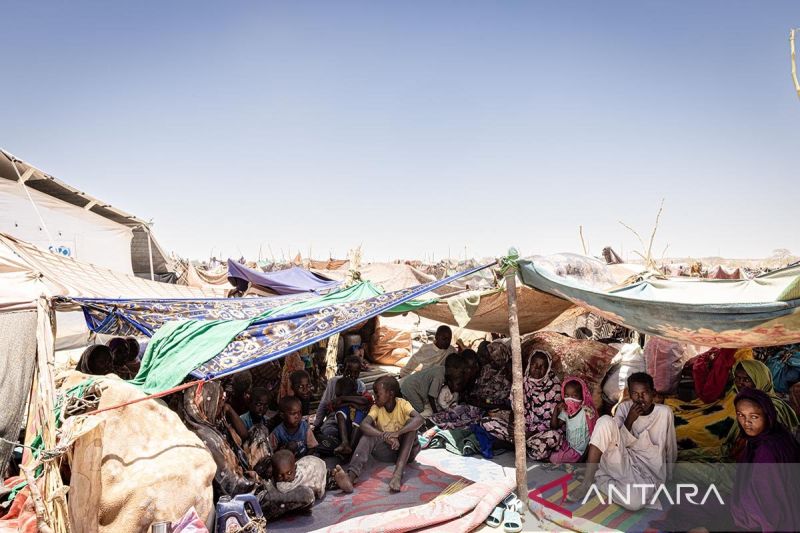 WFP sebut 33 juta warga di Sudan butuh bantuan makanan