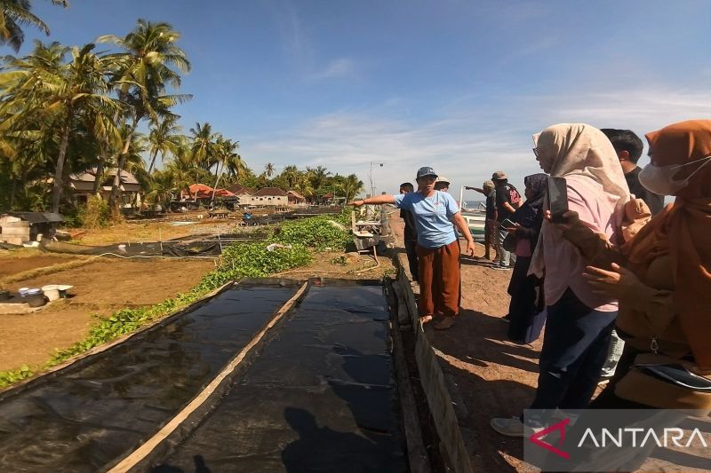 desa-les-dari-swasembada-garam-menjadi-pariwisata-hijau-kelas-dunia