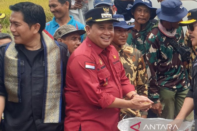 pemkab-banyuasin-targetkan-jadi-lumbung-pangan-nasional-nomor-satu