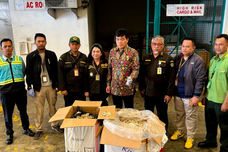 barantin-bongkar-praktik-kecurangan-ekspor-sarang-burung-walet