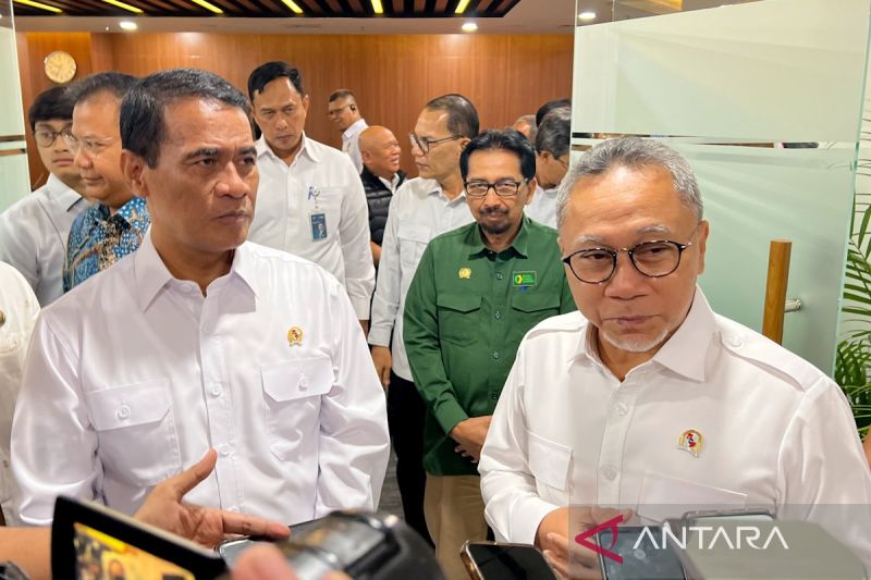 mentan-harga-telur-naik-berdampak-positif-bagi-peternak-berkat-mbg