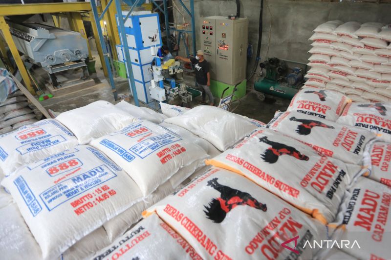 kemarin-beras-impor-ilegal-hingga-layanan-terpadu-bagi-umkm