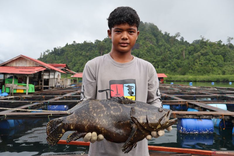 kampung-nelayan-di-sulsel-ekspor-perdana-ikan-segar-ke-arab-saudi