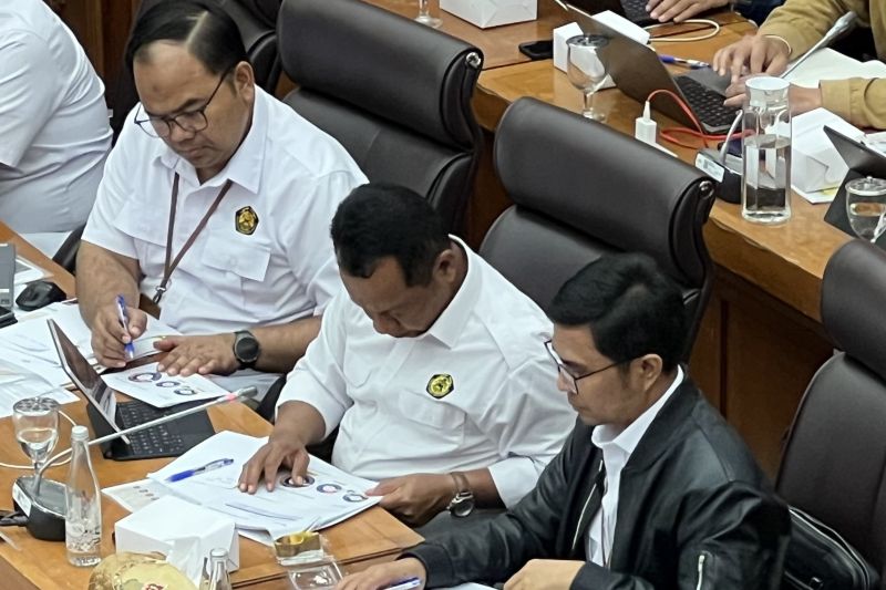 esdm-sebut-144-persen-pembangkit-listrik-indonesia-dari-energi-bersih
