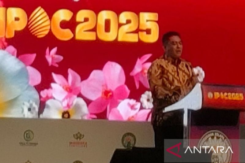 pemerintah-sederhanakan-regulasi-percepat-peremajaan-sawit-rakyat