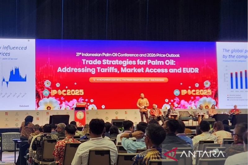 wamenlu-tegaskan-standar-keberlanjutan-sawit-harus-universal