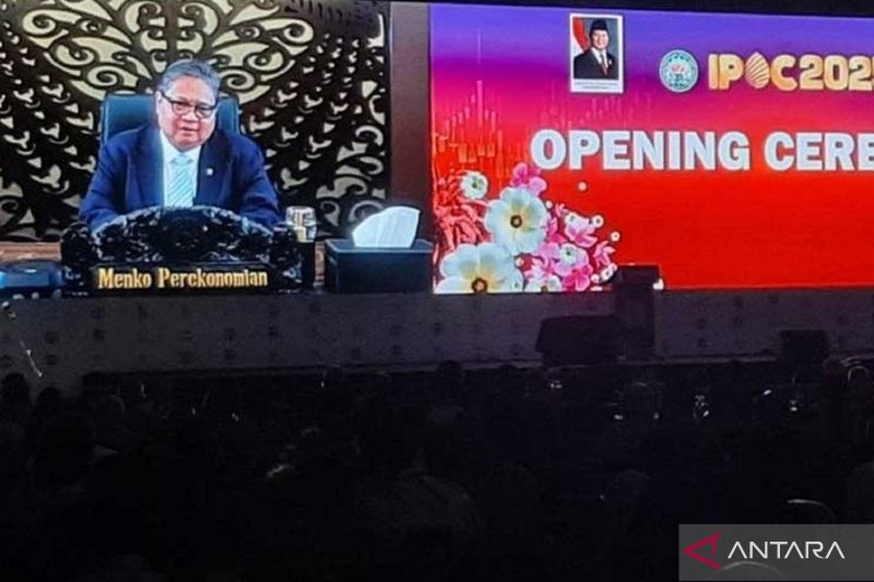 menko-perekonomian-sebut-sawit-perkuat-neraca-perdagangan-indonesia