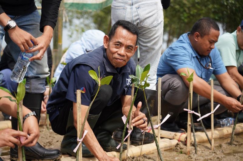 bio-farma-gelar-tjsl-dengan-tanam-5000-mangrove-di-karawang