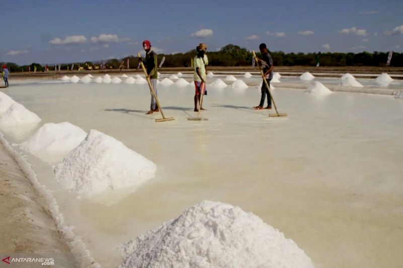 menghidupkan-kristal-putih-timur-indonesia-untuk-denyut-ibu-pertiwi