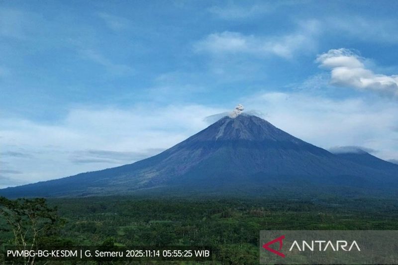 Gunung Semeru kembali erupsi dengan tinggi letusan 800 meter