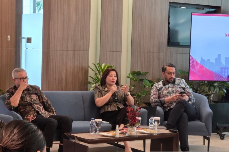 danantara-siapkan-21-program-kerja-guna-benahi-bumn-bermasalah