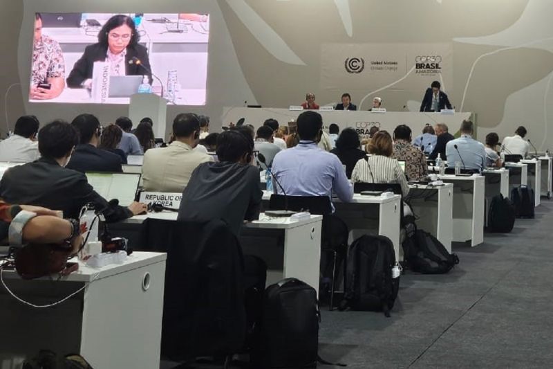 kemehut-perjuangkan-aturan-pasar-karbon-adil-dan-inklusif-di-cop30