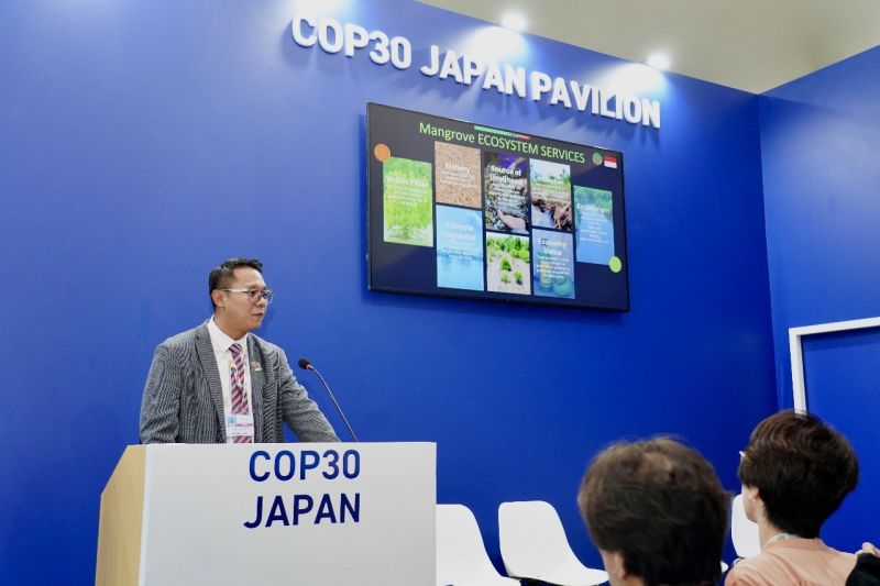 kemenhut-sebut-perlu-inovasi-pembiayaan-program-rehabilitasi-mangrove