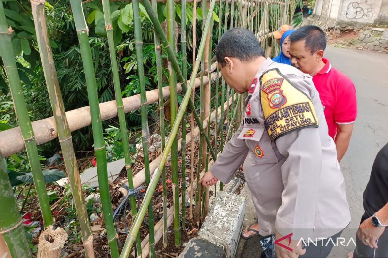polisi-selidiki-pelaku-pembuangan-bayi-dalam-kardus-di-cipayung