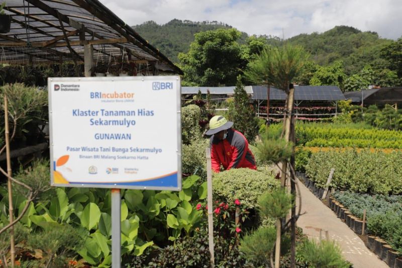 Holding Ultra Mikro BRI salurkan pembiayaan Rp632 triliun kepada 34,5 juta debitur