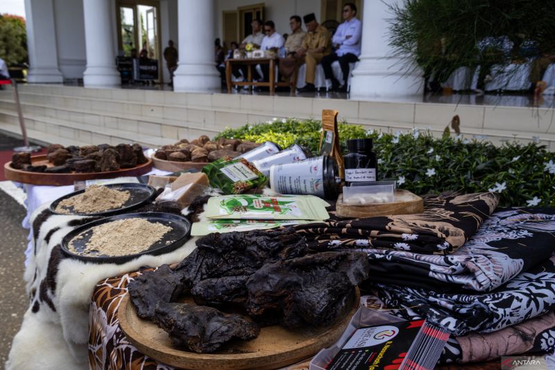 mendag-jawab-keluhan-terkait-hs-code-komoditas-gambir-asal-sumbar