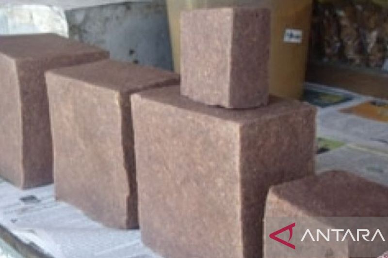 umkm-pangkalpinang-ekspor-terasi-ke-australia