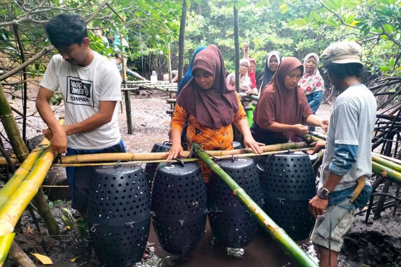 kkp-diseminasi-inovasi-teknologi-bantu-nelayan-pembudidaya-kepiting