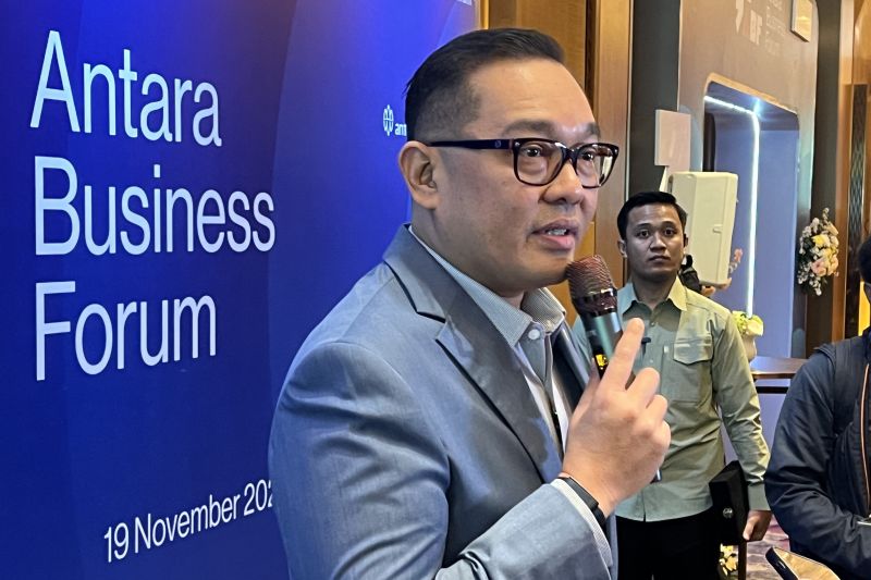 wamen-investasi-sasar-pengguna-mobil-jepang-untuk-e10