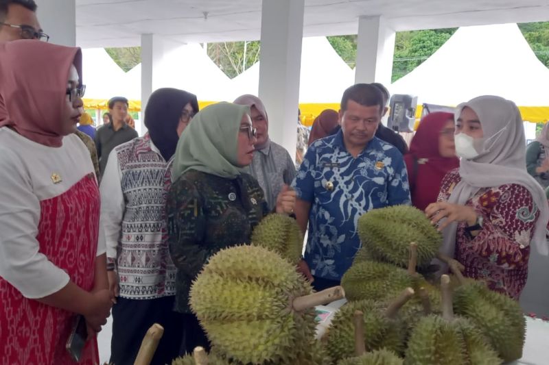 wamen-koperasi-pasar-tematik-hela-pertumbuhan-ekonomi-daerah